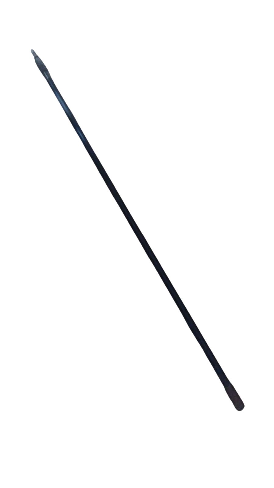 MS55